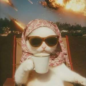 Meet your Posher, Tania